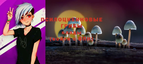 СК Ельня