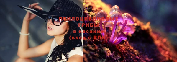 СК Ельня
