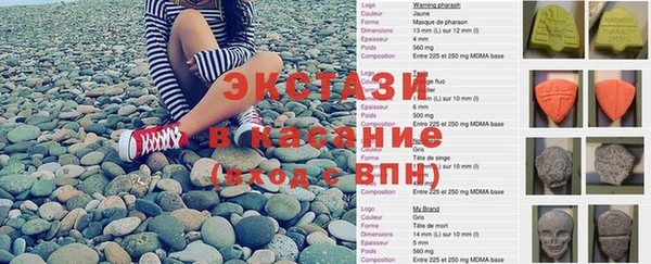 СК Ельня