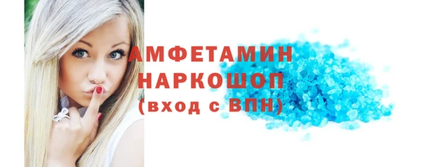 СК Ельня
