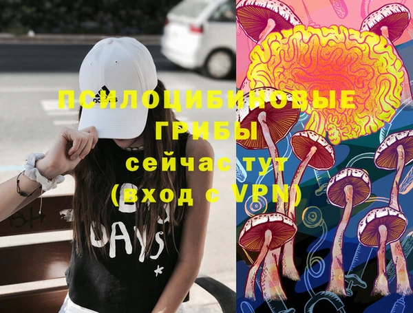СК Ельня