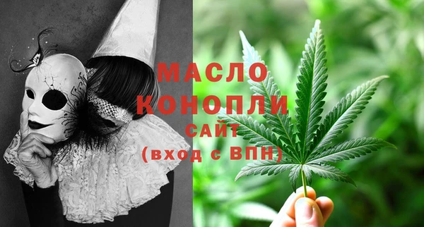 СК Ельня