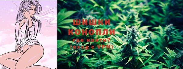 СК Ельня
