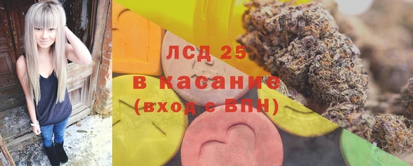 СК Ельня