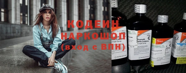 СК Ельня
