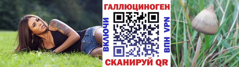 Купить Саки Псилоцибиновые грибы мицелий